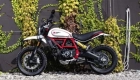 Todas las piezas originales y de repuesto para su Ducati Scrambler Desert Sled 803 2019.
